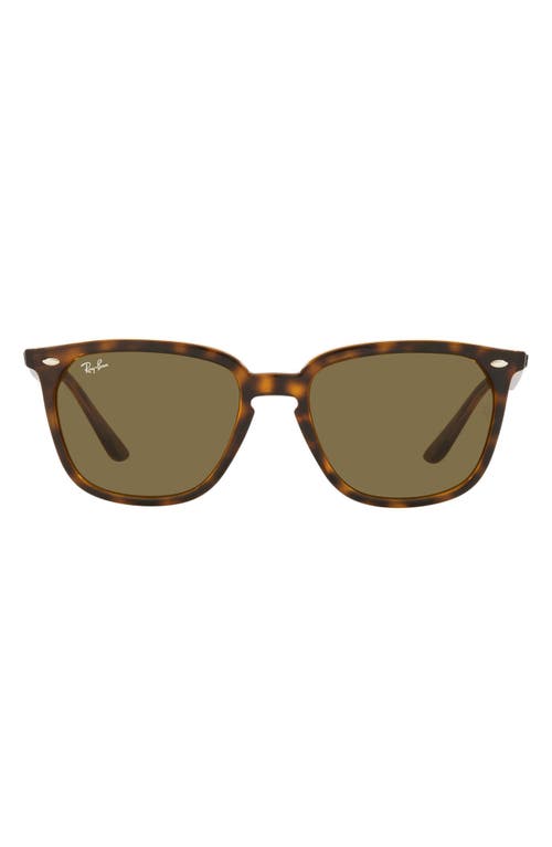 Ray Ban Ray-ban 55mm Round Sunglasses In Havana/dark Brown