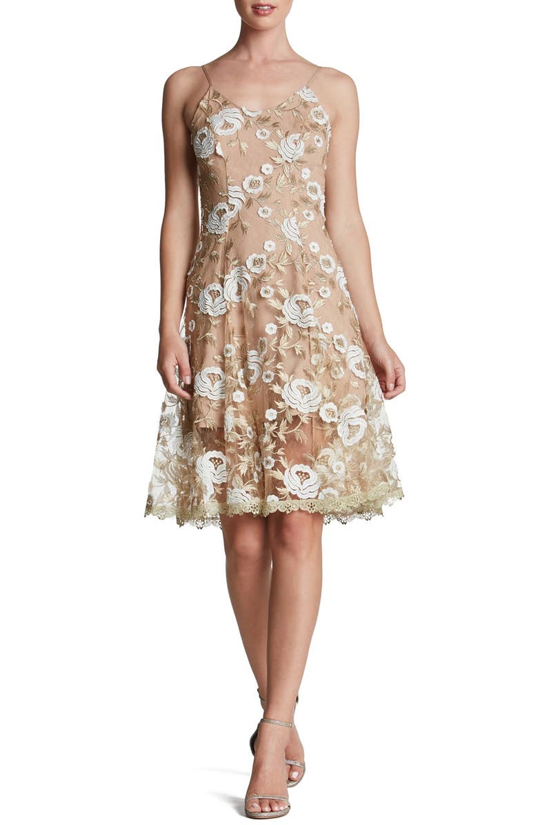 Dress the Population 'Anne' Embroidered Lace Fit & Flare Dress | Nordstrom