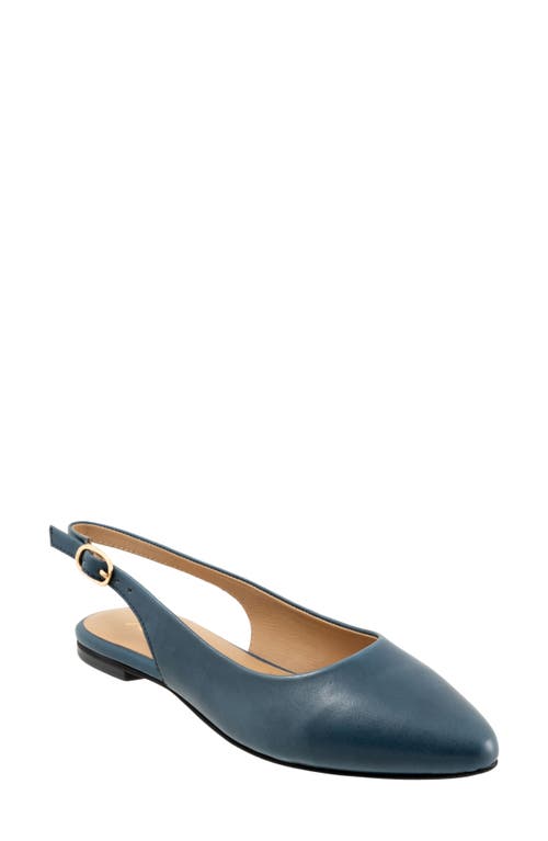 Evelyn Pointed Toe Slingback Flat - Multiple Widths Available in Blue