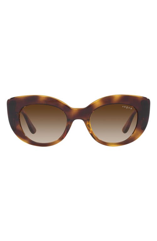 49mm Gradient Butterfly Sunglasses in Dark Havana
