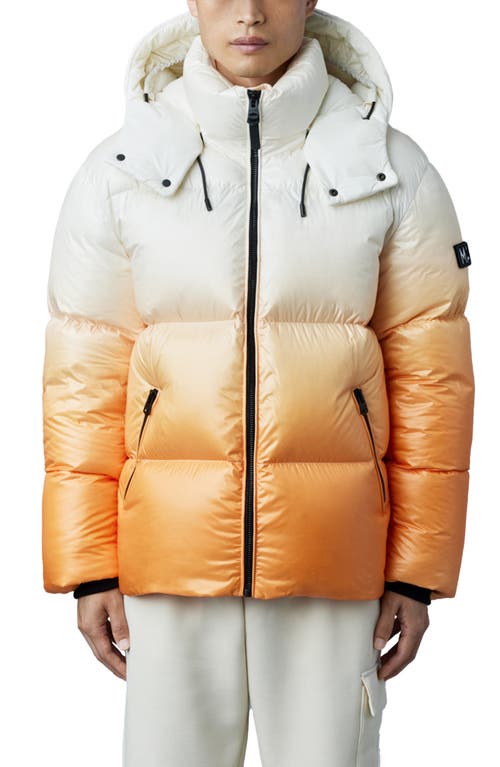 Mackage Kent Ombré Water Repellent 800 Fill Power Down Puffer Hooded Jacket in Sunset