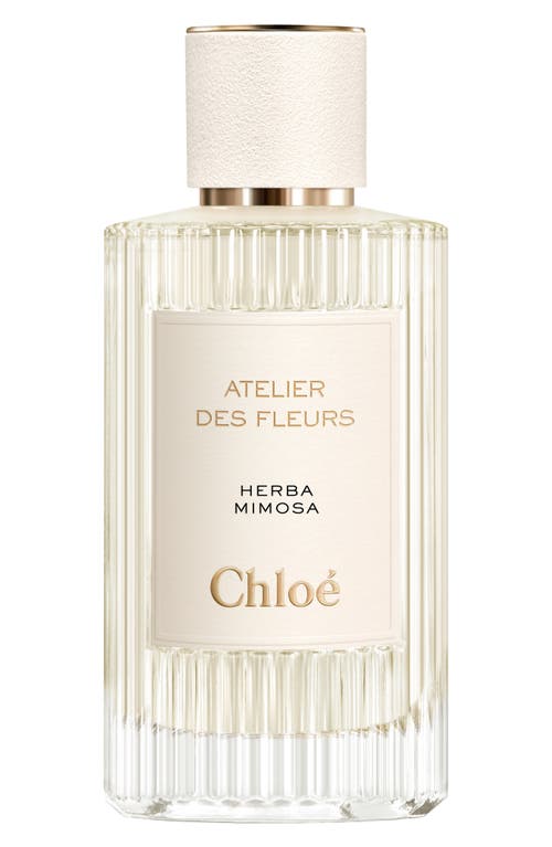 Chloé Atelier des Fleurs Herba Mimosa Eau de Parfum