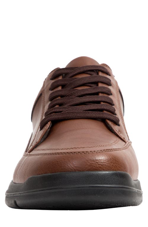Deer Stags Durham Sneaker In Dark Brown