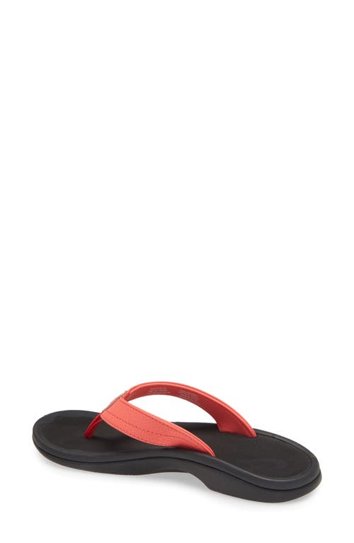 Shop Olukai Ohana Flip Flop In Hot Coral/black