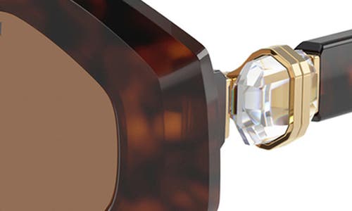 Swarovski 54mm Irregular Sunglasses In Dark Havana