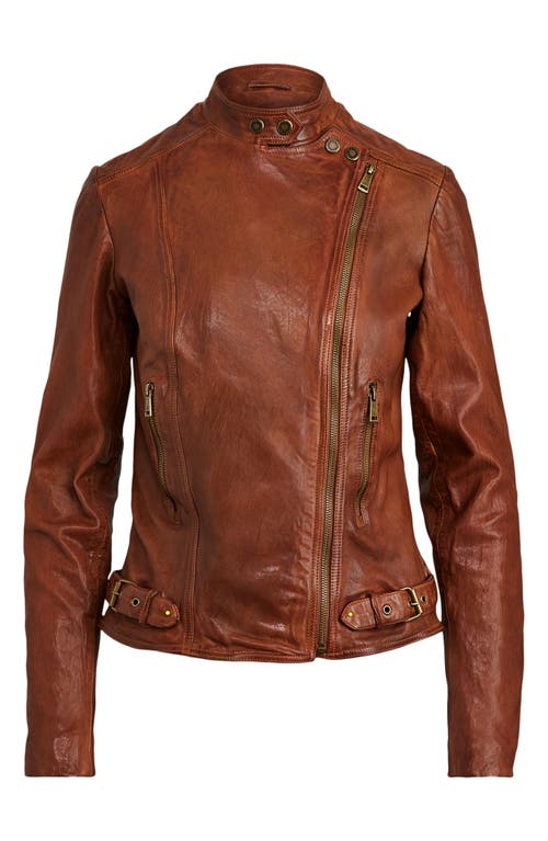 Shop Ralph Lauren Lauren  Leather Moto Jacket In Dark Walnut
