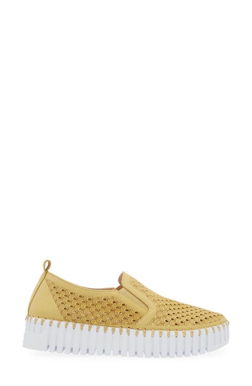 Shop Ilse Jacobsen Tulip Slip-on Sneaker In Citronella