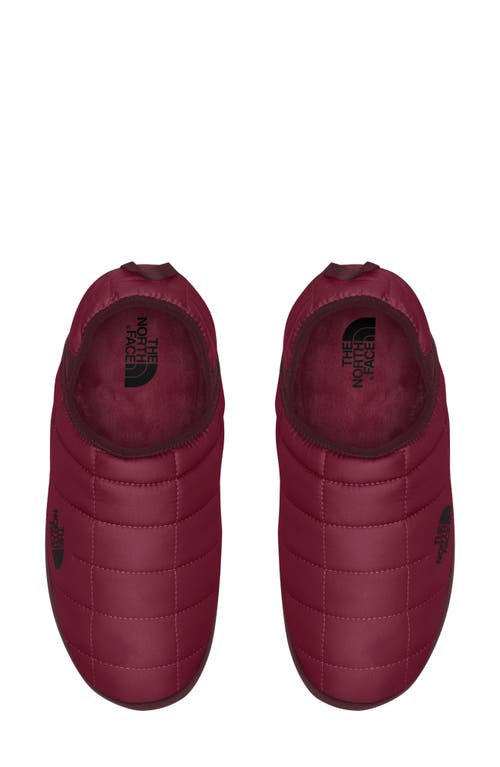 Shop The North Face Thermoball™ Water Repellent Traction V Mule In Beetroot/alpine Plum