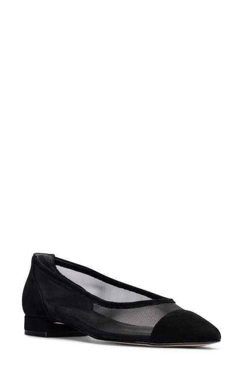 Ray Pointed Toe Flat in Black Suede Combo