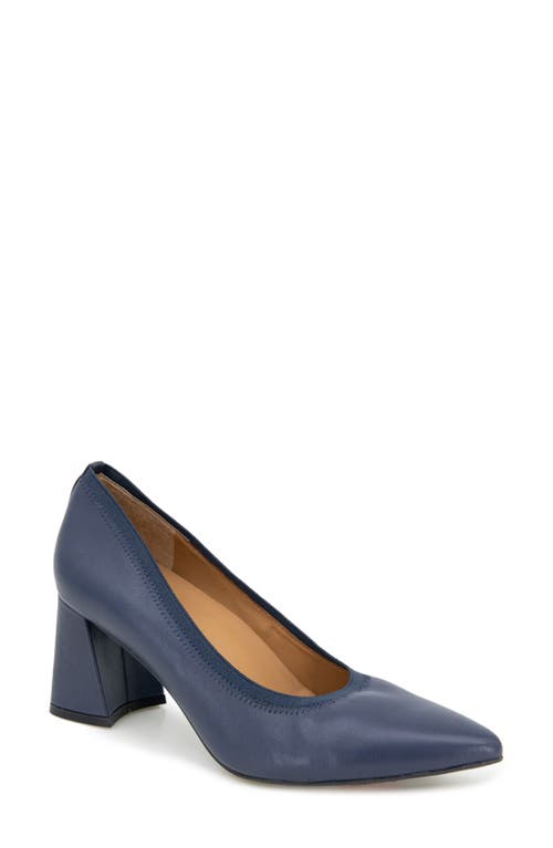 Dionne Pointed Toe Pump in Navy