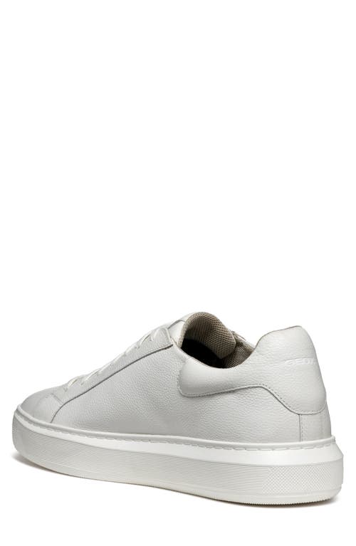 Shop Geox Deiven Sneaker In White