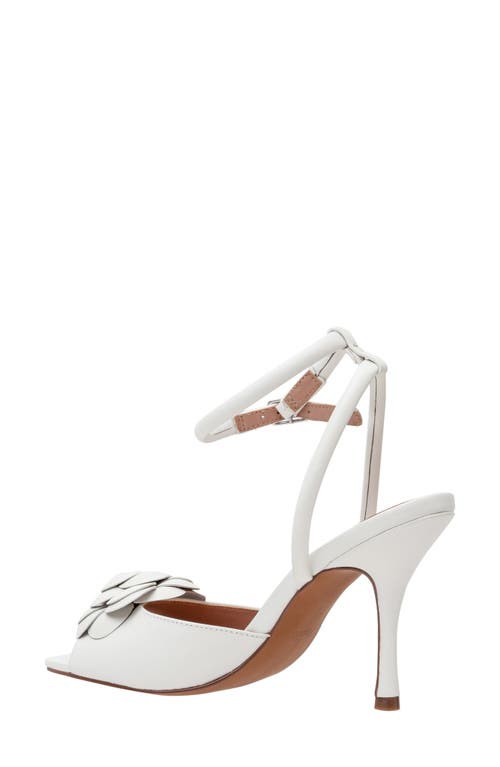 Linea Paolo Heather Ankle Strap Sandal In Eggshell