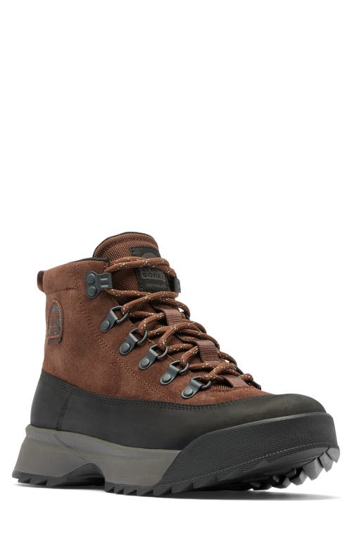 Shop Sorel Scout 87 Pro Plus Waterproof Boot In Tobacco/black