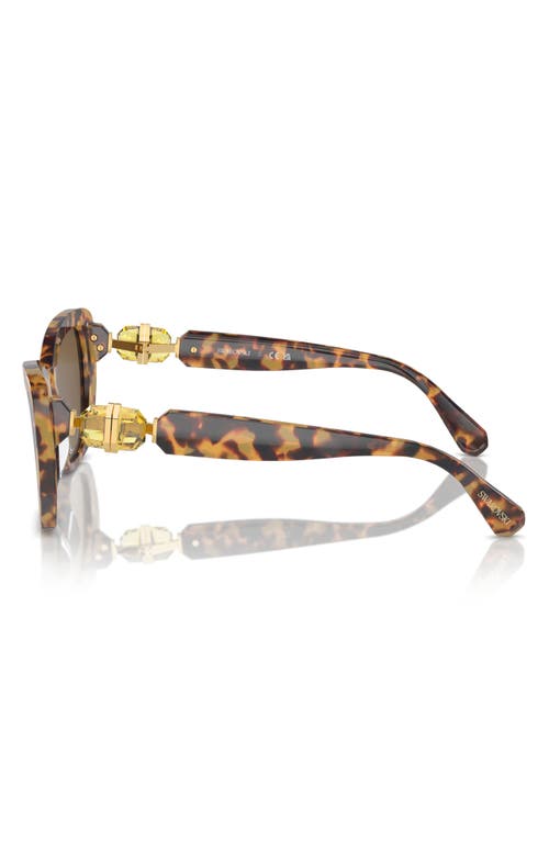 Shop Swarovski 55mm Cat Eye Sunglasses In Dark Brown