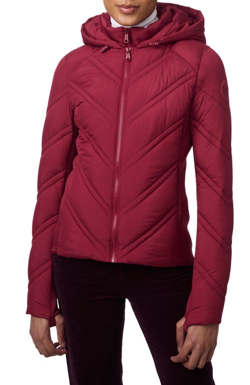 Shop Bernardo Hooded Puffer Jacket With Bib In Red Chinos