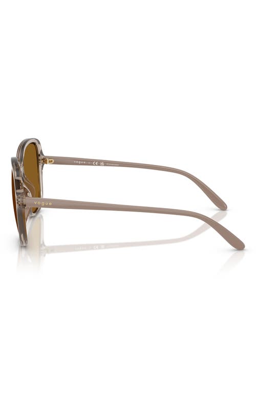 Vogue 53mm Polarized Square Sunglasses In Caramel Polarized