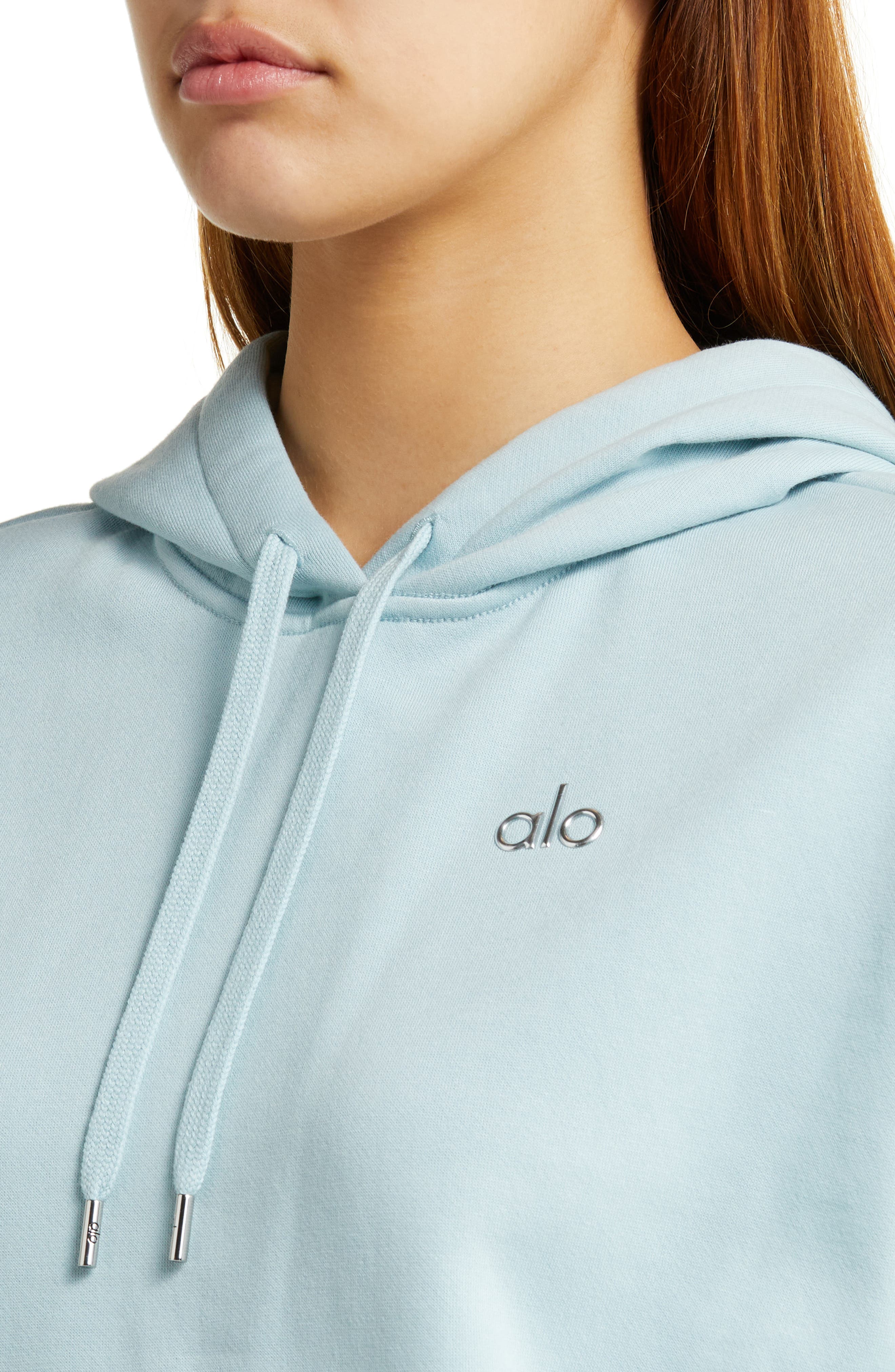 Alo Accolade Hoodie in Toffee Smart Closet