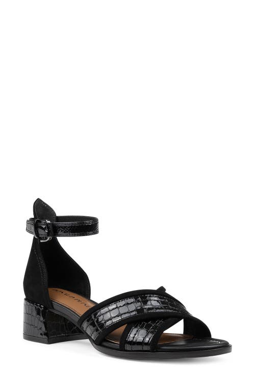 Shop Donald Pliner Ava Ankle Strap Sandal In Black