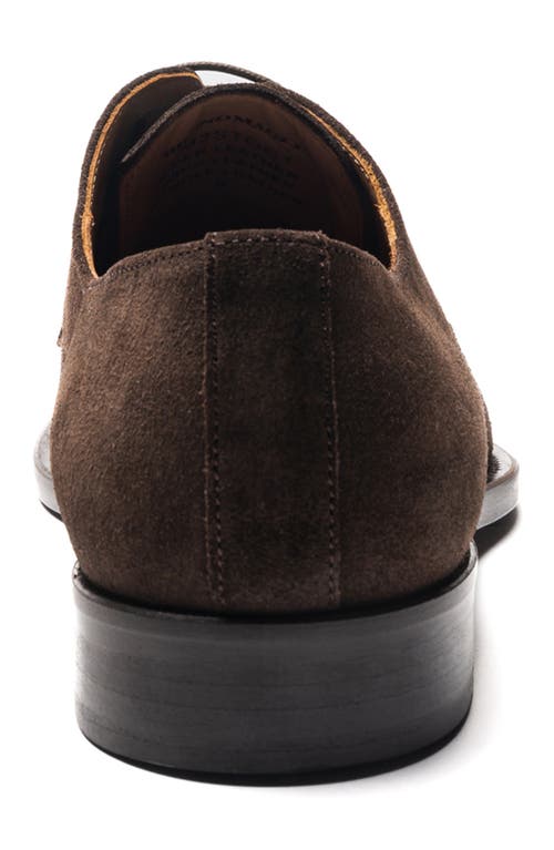 Shop Bruno Magli Santino Oxford In Brown Suede