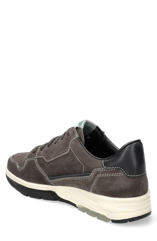 Mephisto Marius Suede Sneaker In Graphite