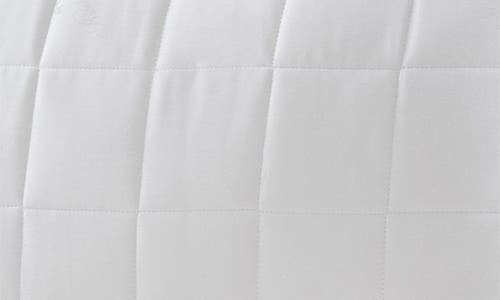 Shop Brooks Brothers Tencel® Pillow In White