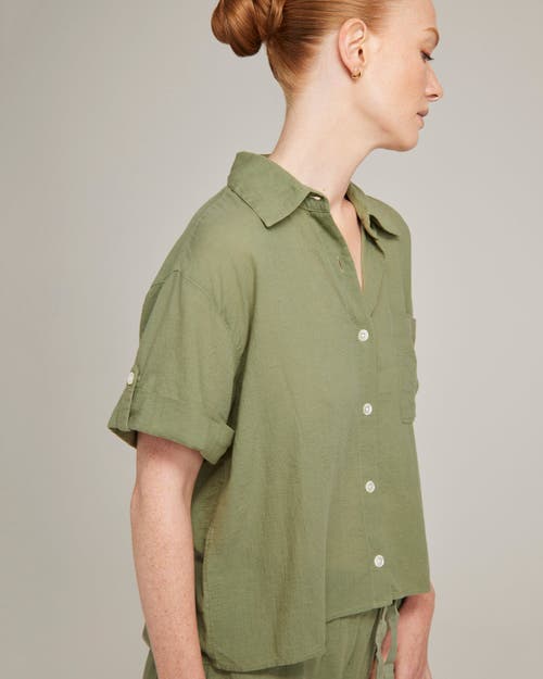 Nudea The Short Sleeve Shirt In Sage