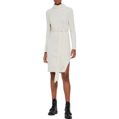 Allsaints Roza Long Sleeve Turtleneck Sweater Dress, Ivory