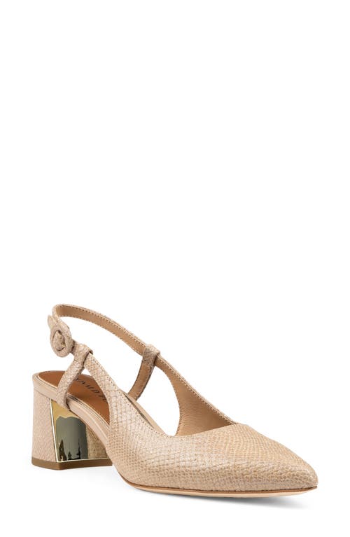 Donald Pliner Song Slingback Pointed Toe Pump Sand at Nordstrom,