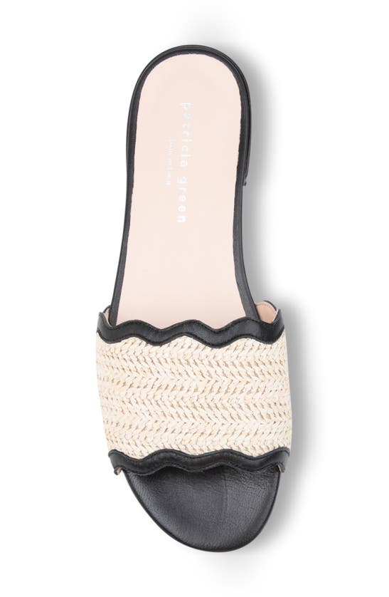 Shop Patricia Green Emma Raffia Slide Sandal In Black