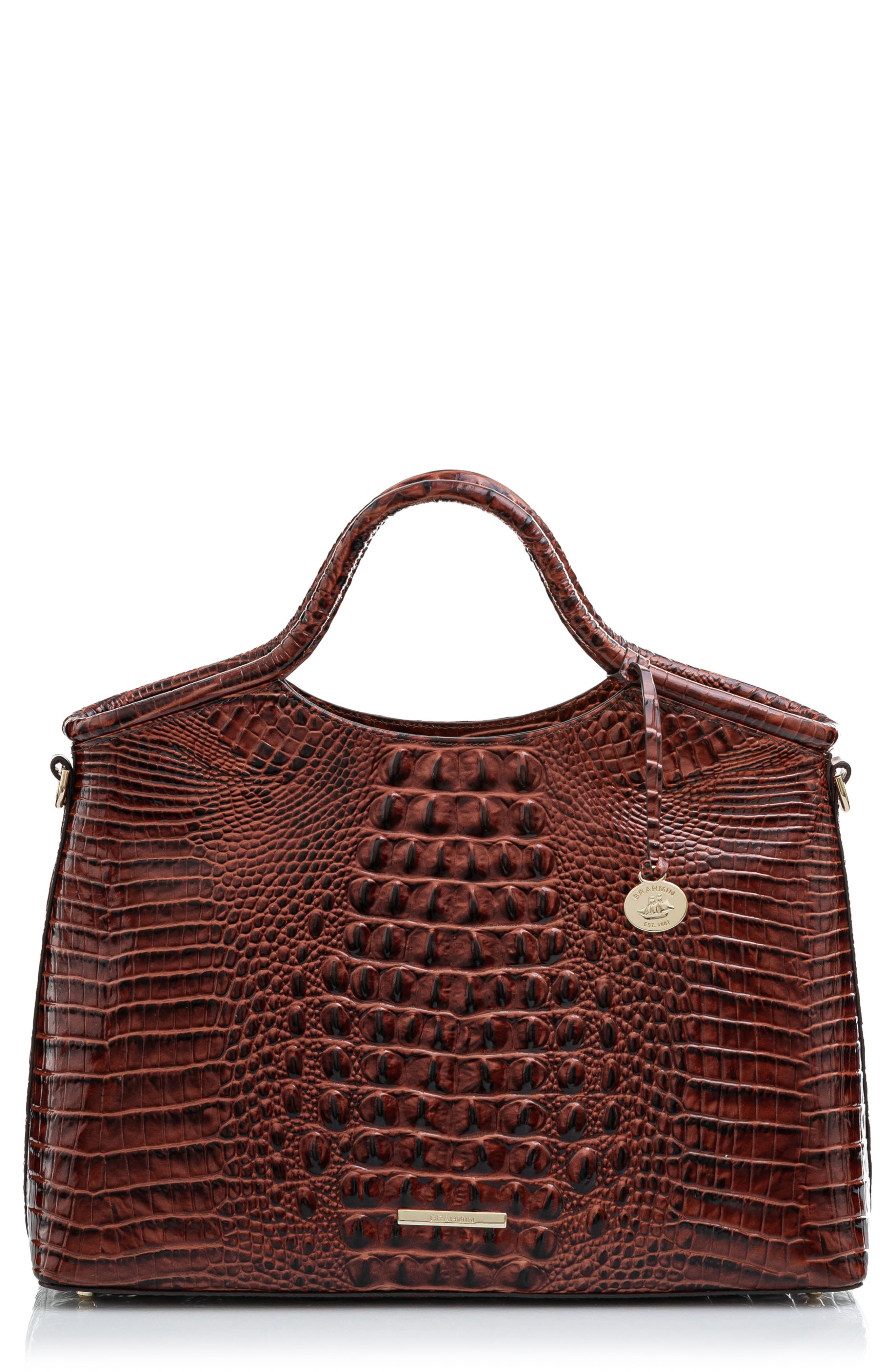 brahmin brown bag