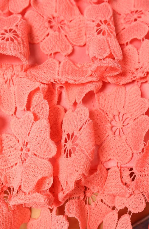 Petal And Pup Petal & Pup Neva Floral Lace Tiered Tank In Red