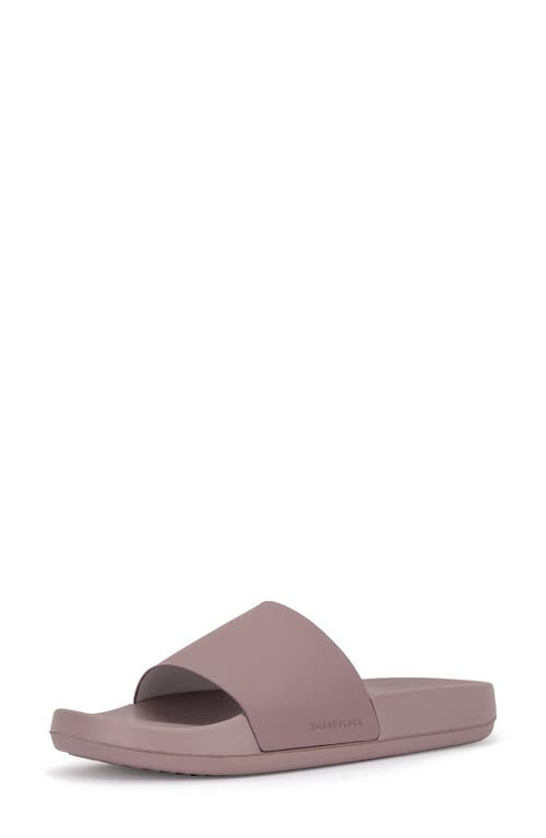 BRANDBLACK Kashiba Slide Sandal in Haze