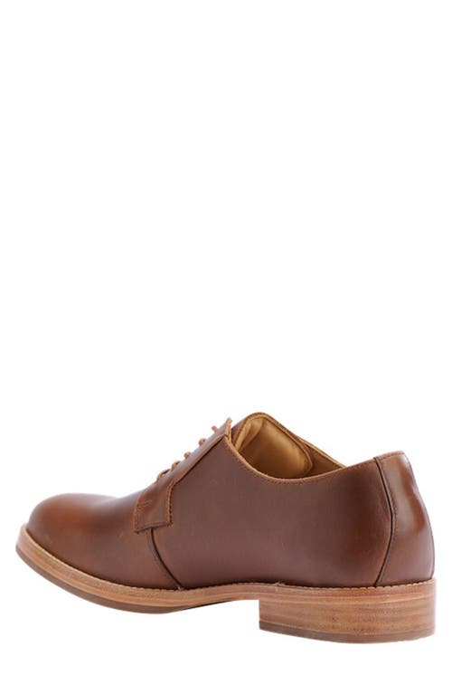 Shop Nisolo Rey Everyday Derby In Brown