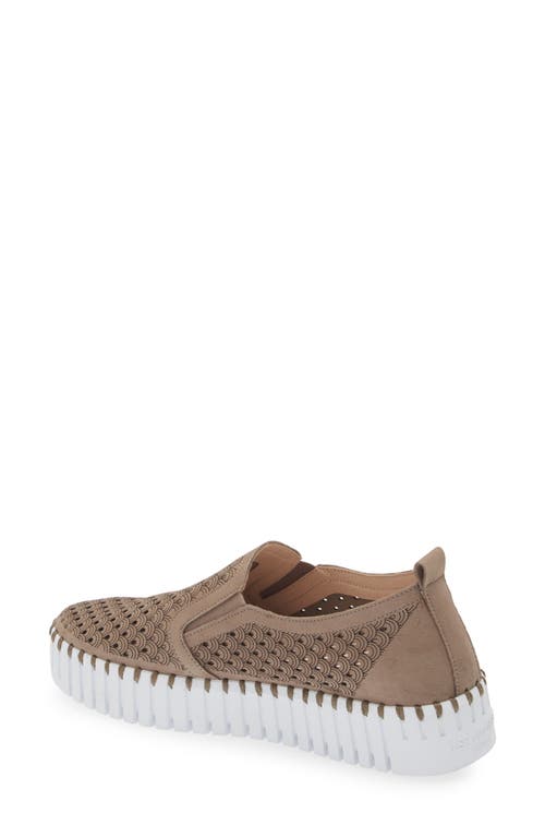 Shop Ilse Jacobsen Tulip Slip-on Sneaker In Falcon