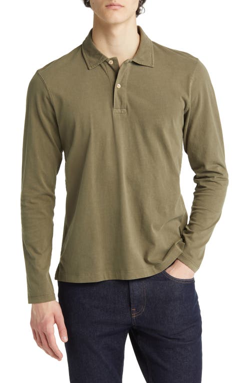 Sueded Long Sleeve Cotton Polo in Sage