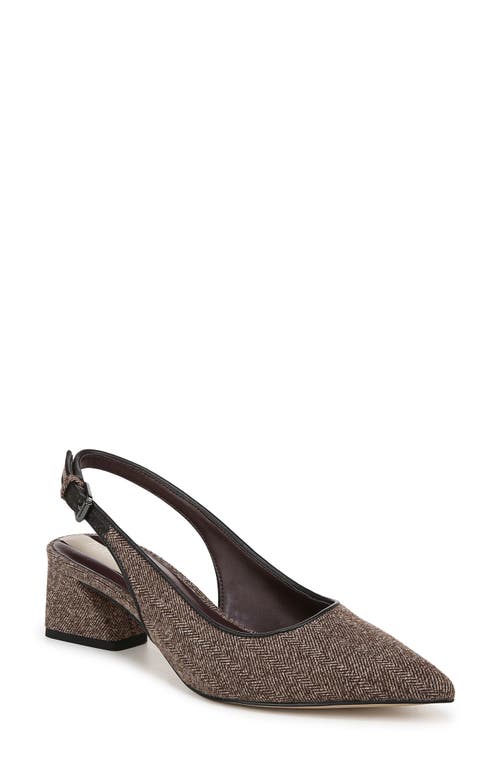 Shop Franco Sarto Racer Slingback Pointed Toe Pump In Taupe