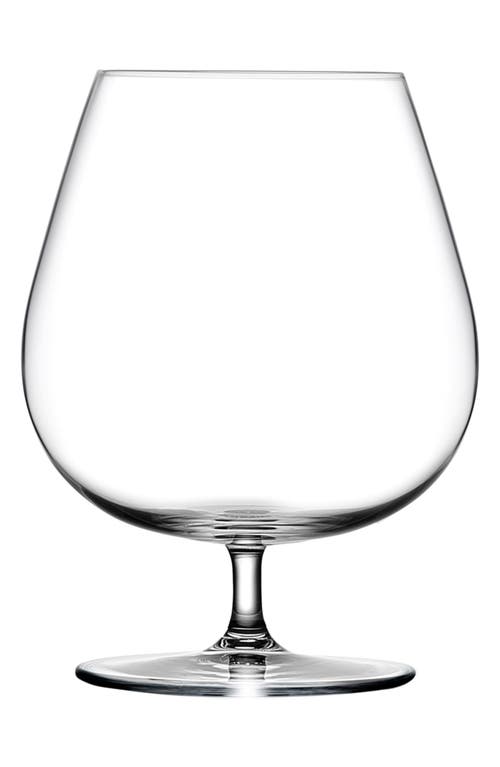 NUDE Set of 2 Cognac Glasses in Clear