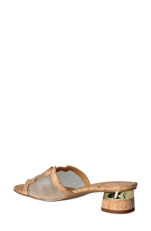 Shop J. Reneé J.renée Amorra Slide Sandal In Natural/gold