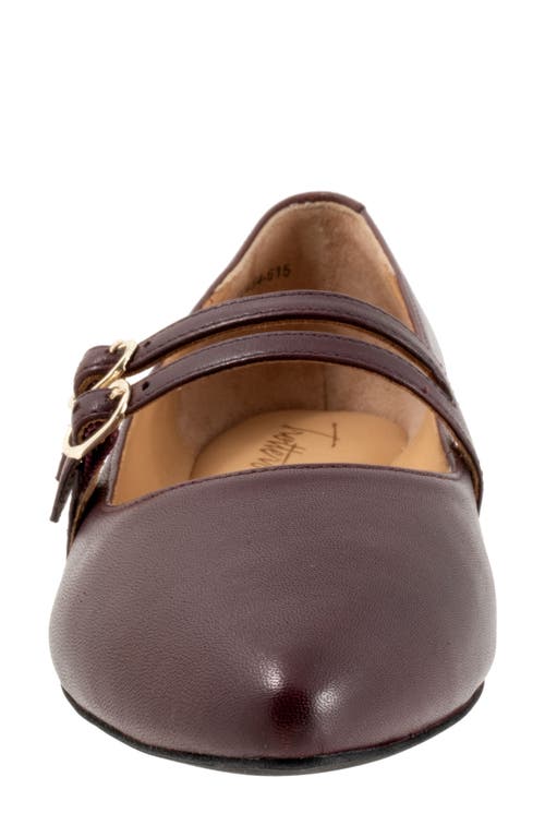 Trotters Emerald Pointed Toe Mary Jane Flat In Oxblood