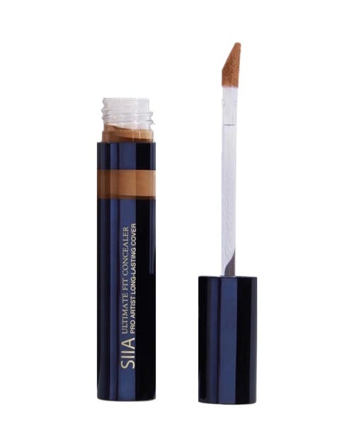 Shop Siia Cosmetics Ultimate Fit Concealer In Chestnut