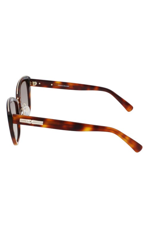 Shop Longchamp Roseau 53mm Gradient Rectangle Sunglasses In Havana/brown