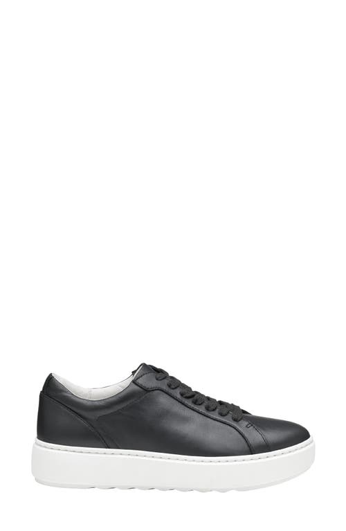 Shop Johnston & Murphy Cammie Low Top Sneaker In Black Tumbled Full Grain