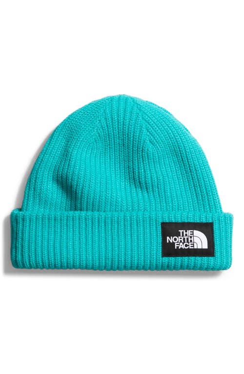 The North Face Salty Dog Beanie in Apres Blue at Nordstrom