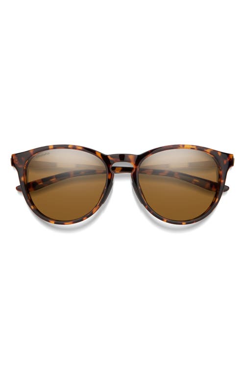 Smith Wander 55mm ChromaPop Polarized Round Sunglasses in Tortoise /Brown at Nordstrom