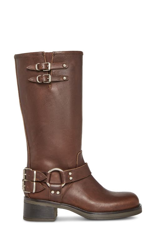 Steve Madden Astor Knee High Moto Boot In Brown
