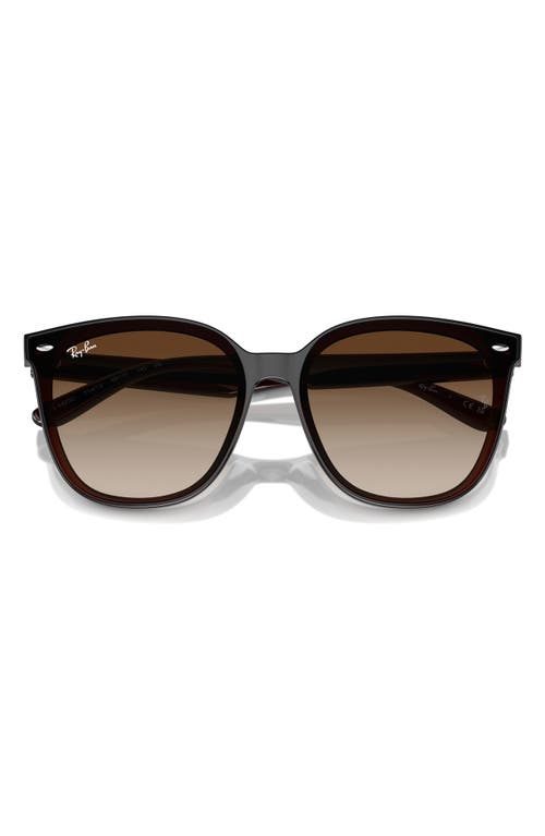 Ray-Ban 66mm Gradient Oversize Irregular Sunglasses in Transparent Black at Nordstrom