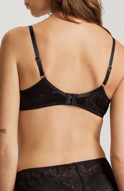 Shop Hanro Tina Lace Soft Cup Bra In Black Beauty