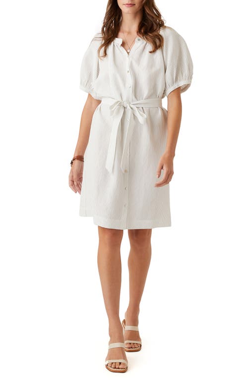 FIFTEEN TWENTY Puff Sleeve Shirtdress in Stp