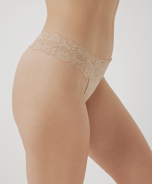 Pact Organic Cotton Lace Waist Thong 3-pack In Beloved Basics