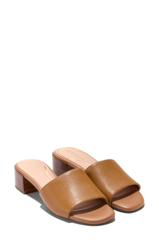 Cole Haan Calli Single Band Block Heel Slide Sandal In Pecan Ltr
